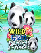 รีวิว slotxo เครดิต ฟรี 50 พร้อมเทคนิคทำเงิน